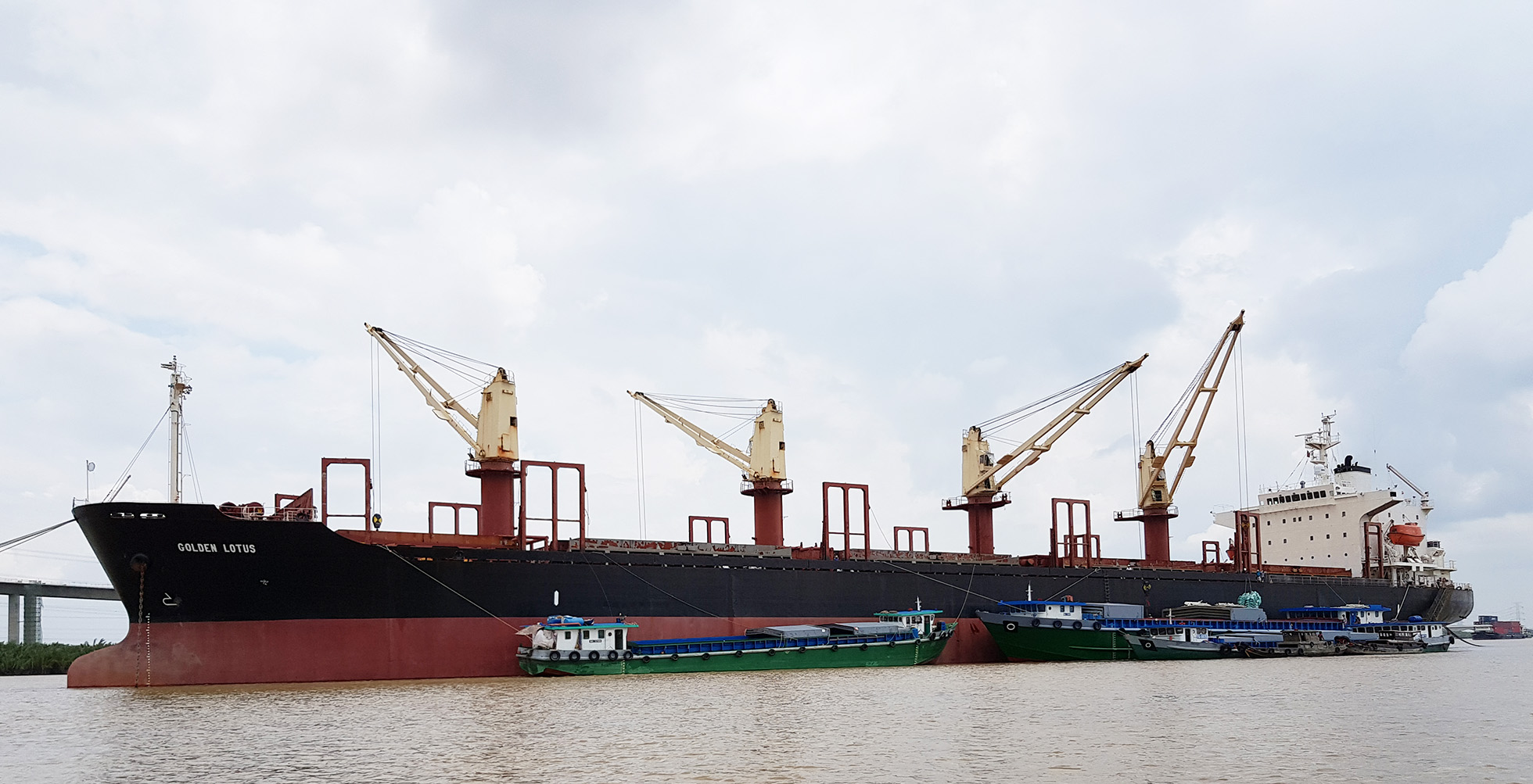 Golden Lotus; Bulk Carrier; 28355 DWT
